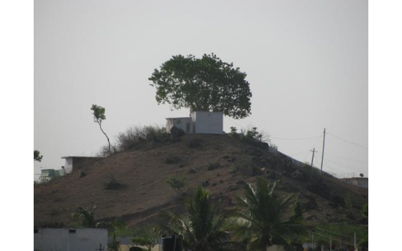 Narayanpet